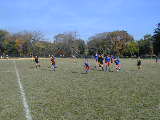 Click to see PA210123.JPG